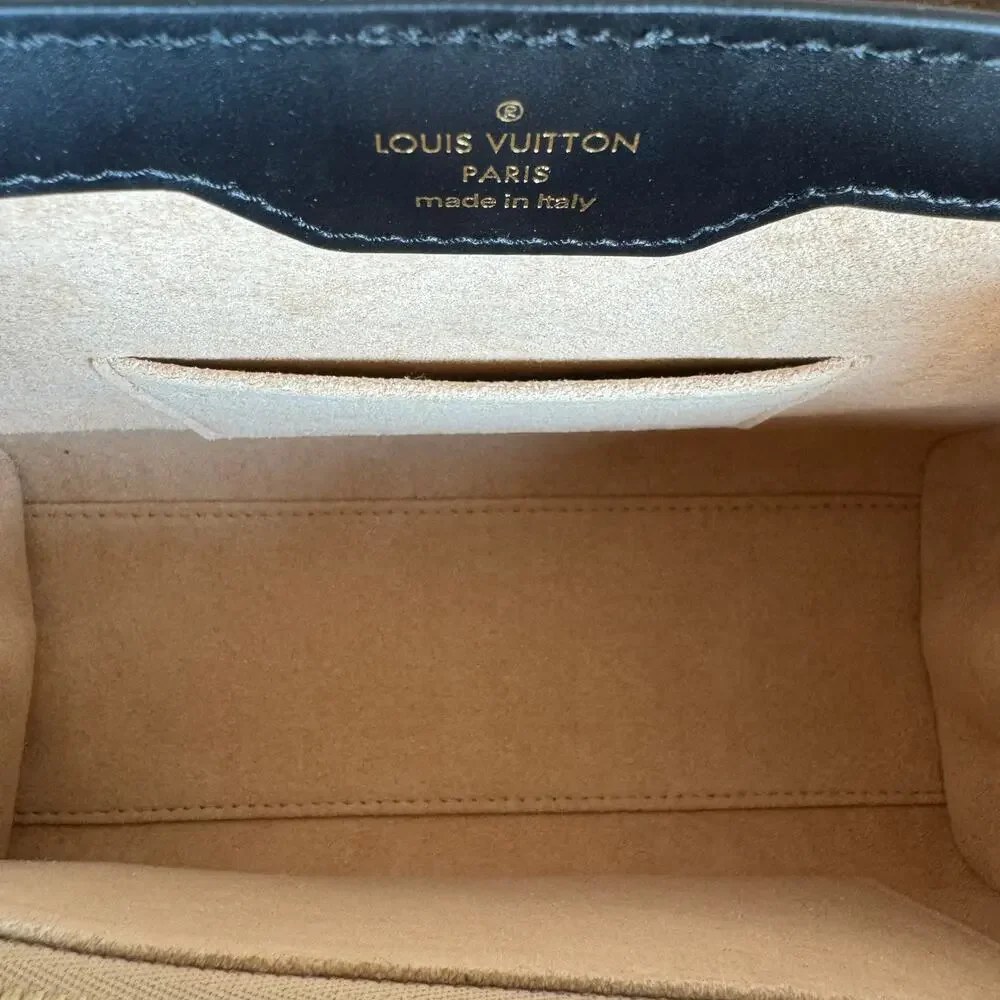 Louis Vuitton Trianon Trunk bag PM Monogram Wood LV crossbody tote Rare Handbag